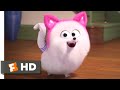 The Secret Life Of Pets 2 Cat Lessons Scene 4 10 Movieclips