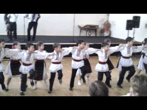 Moldovita grupa medie Pavel Popa 2014