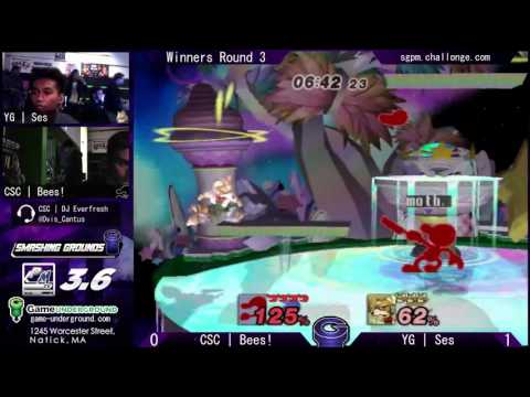 SG at GU 8.10: CSC | Bees! (Game & Watch) vs. YG | Ses (Fox)