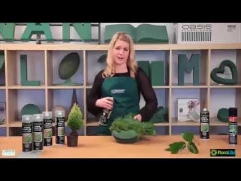 FloraLife Green Fresh Up - Green Color Natural Spray for Plants & Foliage's.