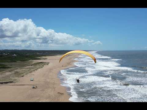 ♦Ave de Paso Punta Rubia febrero 2026  #Rocha #Uruguay #Sandro #Muchacho #scarpelli