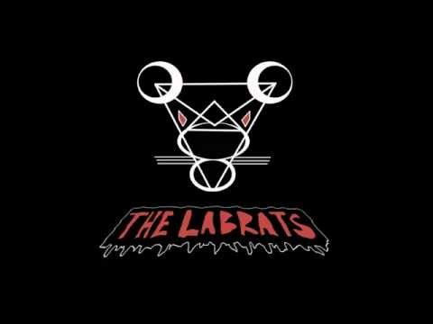 The Labrats - Always Drunk