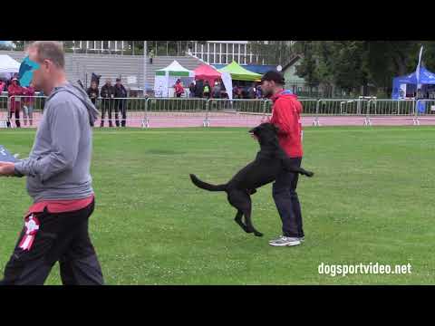 Finals - Jesus Martin Gonzalez + Tyson / Labrador Retriever - Spain