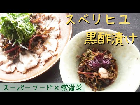 園芸 野菜スベリヒユ
