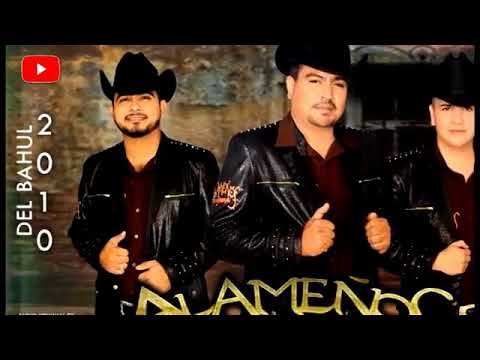 Tratos Son Tratos | Los Alameños De La Sierra