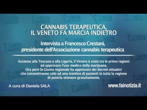 Cannabis terapeutica in Veneto. Intervista a Francesco Crestani