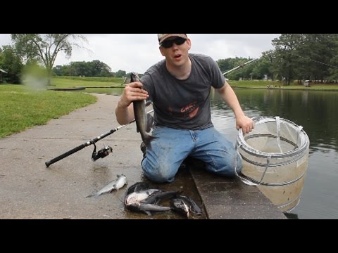 How to catch catfish with worms - fishing for catfish in a lake
