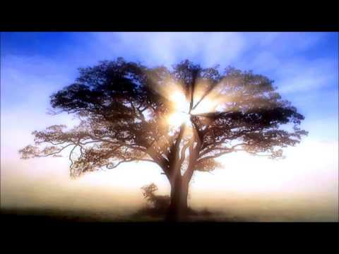 Suntree Mix ☀ Progressive Psy Trance 2014 |HD|