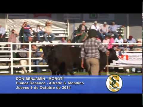 Don Benjamín - Nota Vientres - Huinca Renancó - 09/10/2014