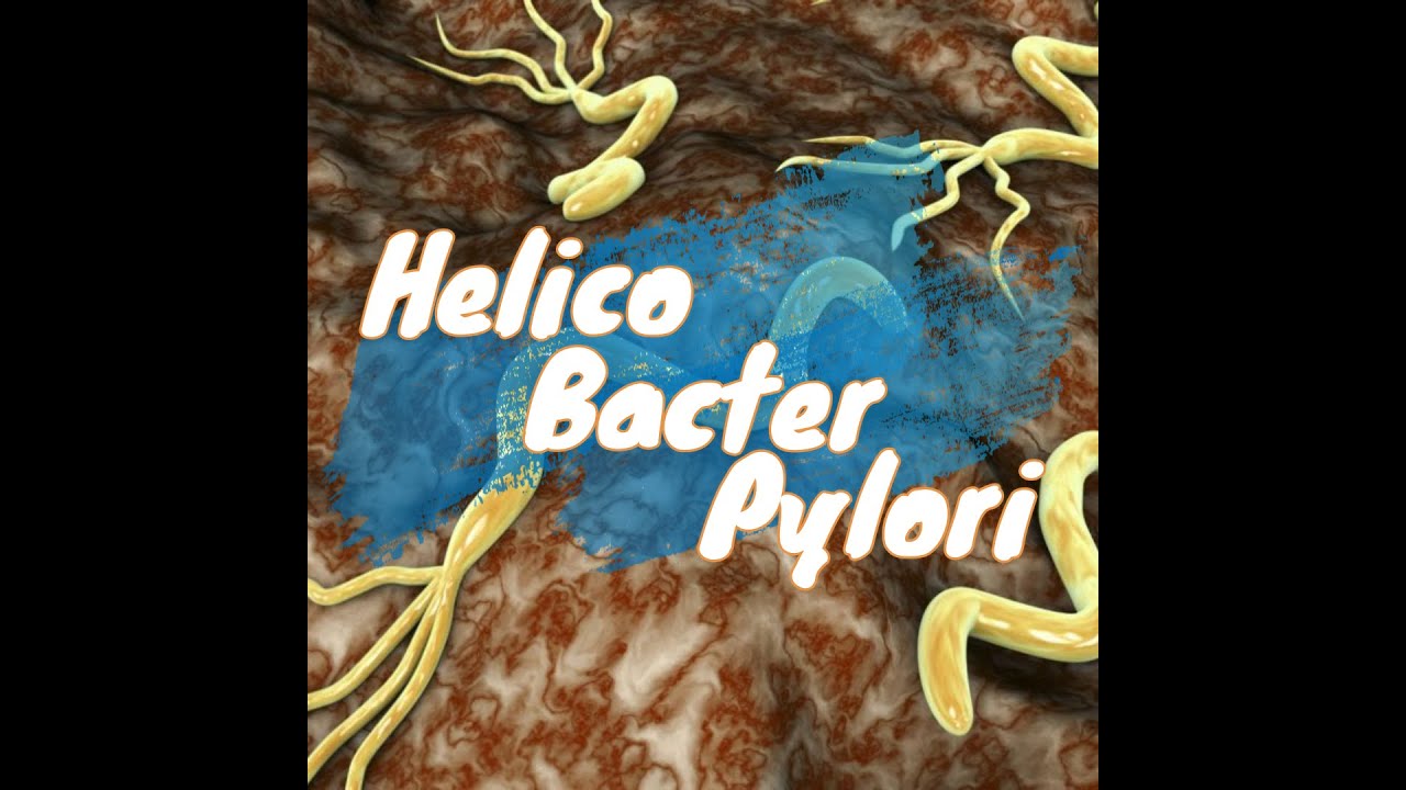 L'infection à HélicoBacter Pylori