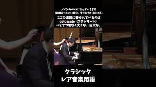 暴動のような音楽【クラシックレア音楽用語】#shorts