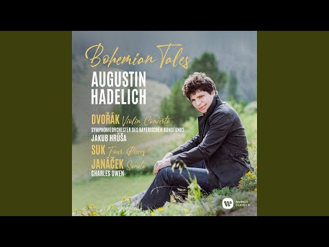 Violin Concerto in A Minor, Op. 53, B. 108: II. Adagio ma non troppo