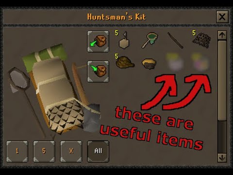The Huntsman's Kit has untapped potential || OSRS
