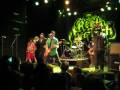 Authority Song, by Reel Big Fish (@ Tivoli 7.2.2009)