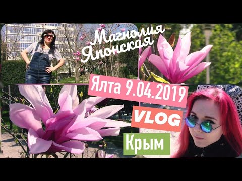 В краю магнолий плещет море))) весна в Крыму. ЯЛТА 💕 VLOG