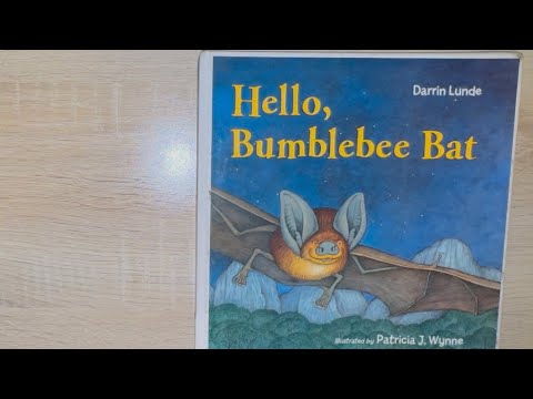Hello, Bumblebee Bat - Read Aloud