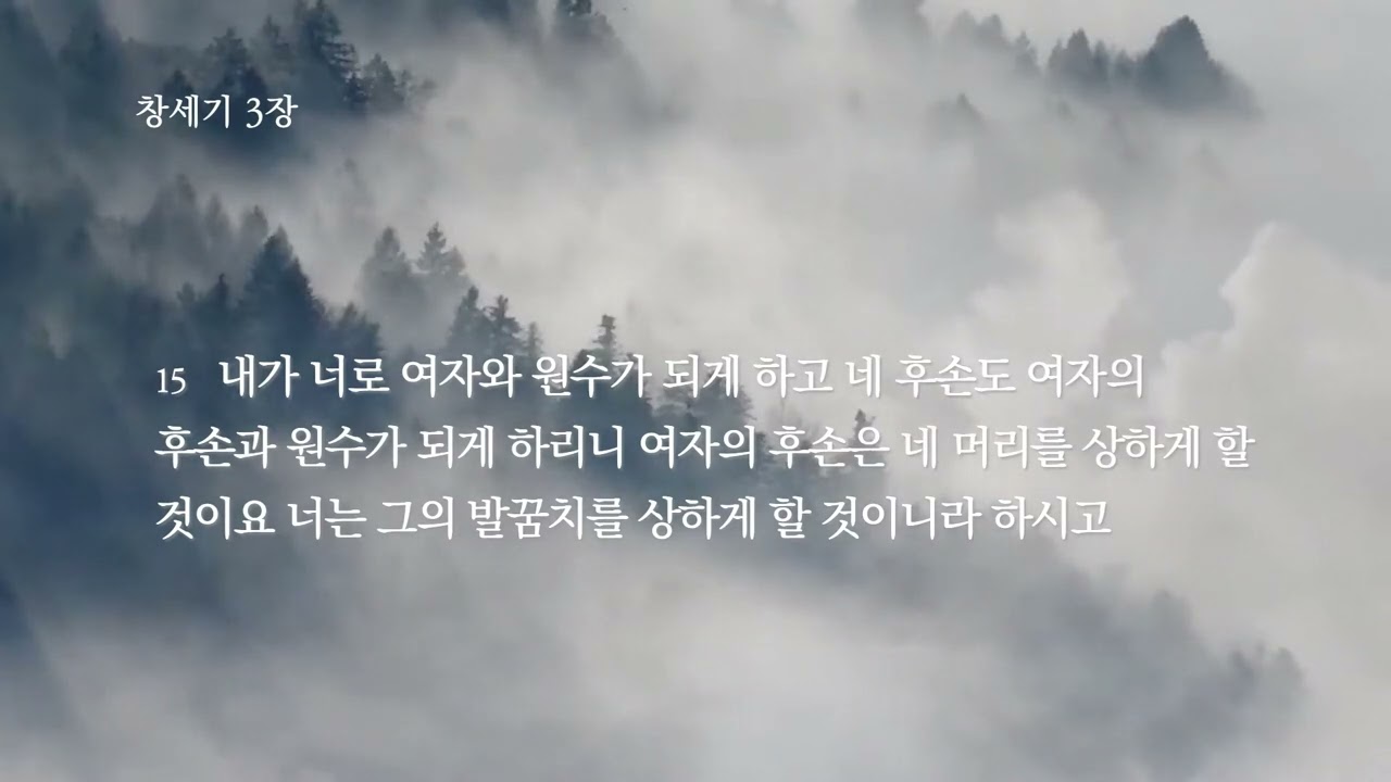 명지전문대 성경과삶 성경읽기 1주차