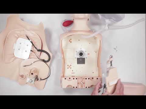 Resusci Anne First Aid Manikins - Resusci Anne QCPR Upgrade kit installation