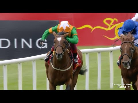 LONGINES World Ranking Show Episode 2 | Who is the World's Best Horse 🏇