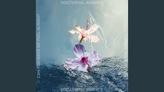 Can You Make Me Feel Alright by Nocturnal Animals