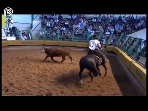 Bocal de Ouro Esteio (RS) – 6° lugar fêmeas – Preciosa do Recanto Crioulo