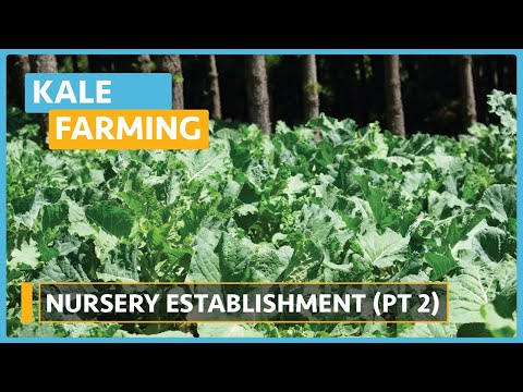 Kale Farming Lesson 1 Introduction