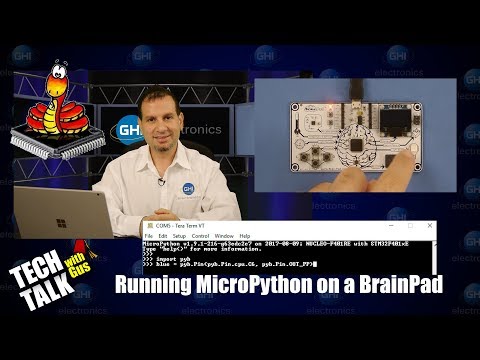Running MicroPython on the BrainPad - TechTalk 045