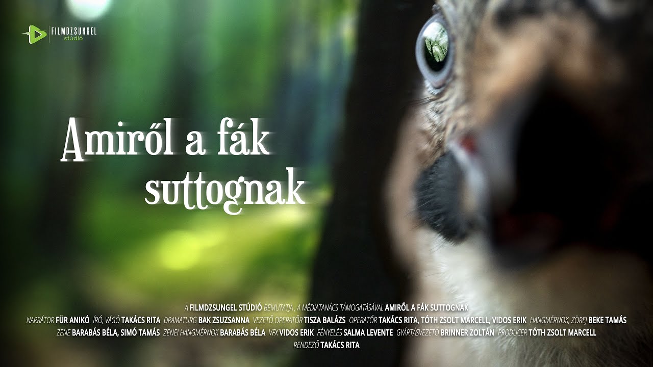 Amiről a fák suttognak - trailer