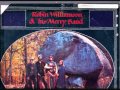 robin williamson - sands and the glass