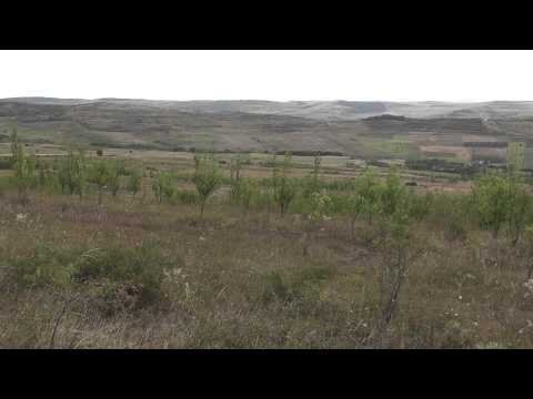 Tioltiur- vazut de sus