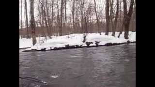 preview picture of video 'Lehigh Fishing Company Fly Rod vs Salmon River Steelhead'