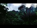 Aphex Twin - Hy A Scullyas Lyf Adhagrow