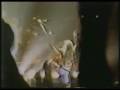 Van Halen Live 1981 -  Sinner's Swing