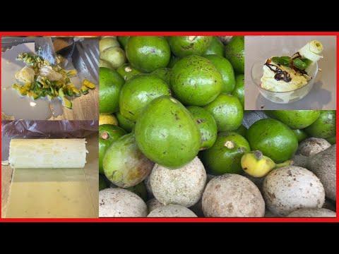 ASMR - Avocado Ice Cream Rolls | Food / 4k @daysofnuwan9842 #streetfood #icecream #icecreamrolls #asmr