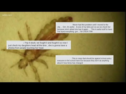 Getting rid of head lice is expensive & time consuming for parents