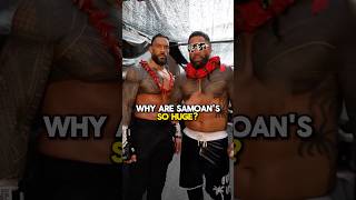 Download lagu Why are Samoans HUGE 💪 #wweshorts #wwe mp3