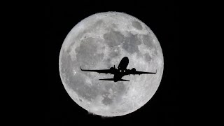 Blue Oyster Cult -  I Love The Night