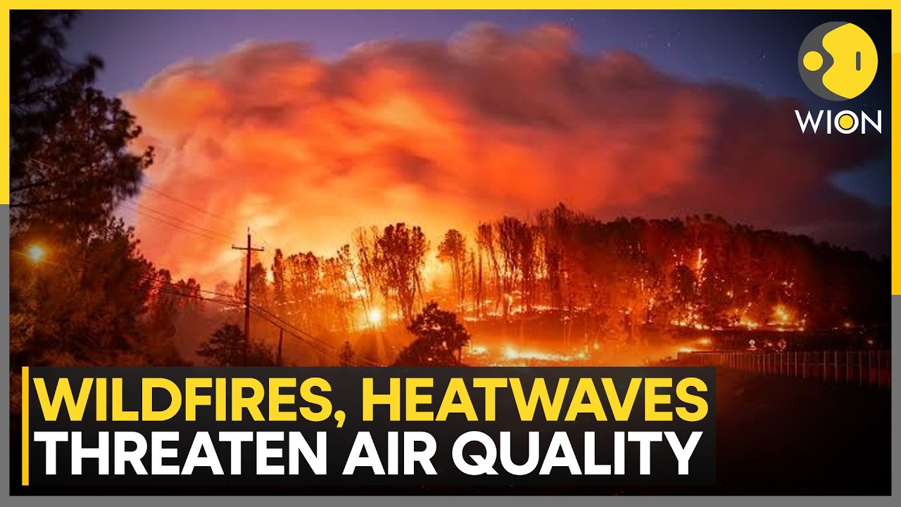 Efforts To Clean Up The Air Face Challenges As Wildfires, Heatwaves Threaten Air Quality | WION News