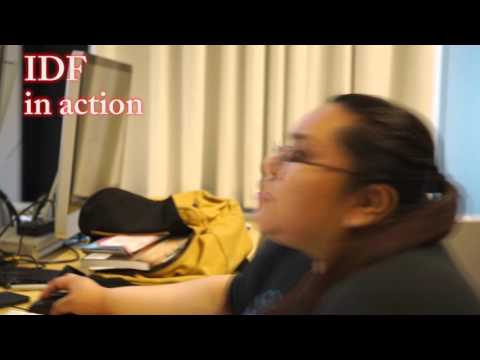 IIDF in Action! (2016)