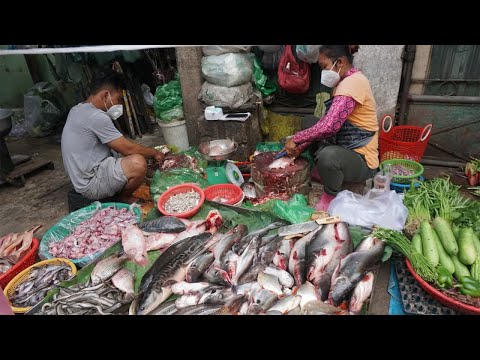 Morning Food Market Scenes at Phsa Samaki - Morning Food Market Scenes