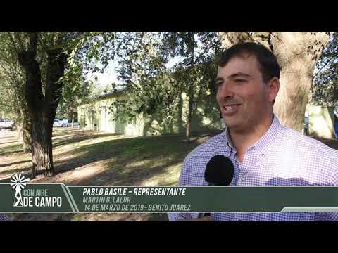 Pablo Basile - Martín G. Lalor - Jueves de marzo de 2019 - B. Juárez