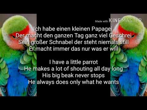 Ich habe einen kleinen papagei English translation
