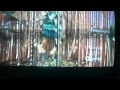 Matilda Man With Sticky Body Gets Money On