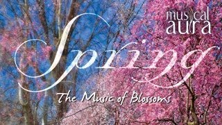 Morning Instrumental Flute Music For Spring - Musical Aura