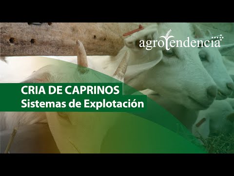 , title : 'CRIA DE CAPRINOS l Sistemas de Explotación'