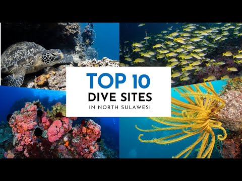 Top 10 Dive Sites North Sulawesi