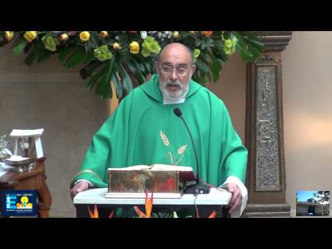 Homilía 20 de Julio del 2014. Parábola del trigo y la cizaña.