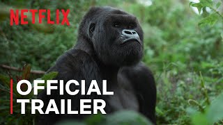 Netflix A Gorilla Story: Told by David Attenborough (2026) – Official Trailer Breakdown