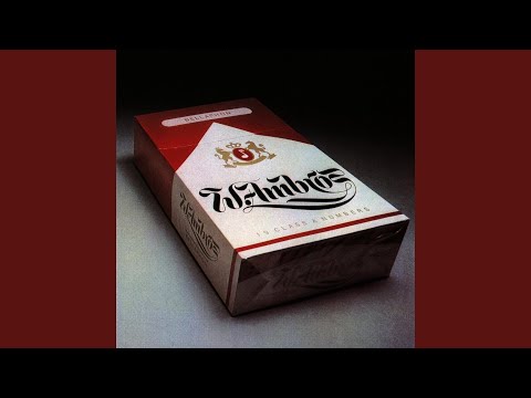 Baba und foi ned - Wolfgang Ambros