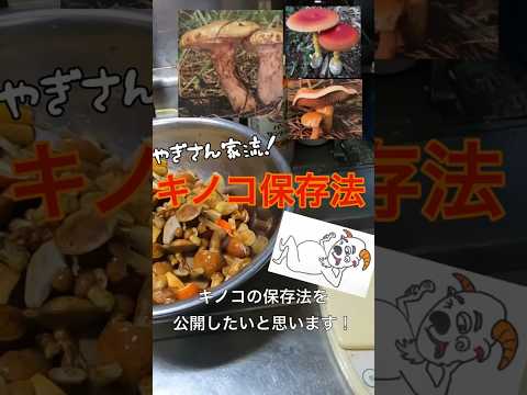 黄色のポルチーニ 9 月に収穫する食用キノコの種 10 月カレンダー 収穫のヒント